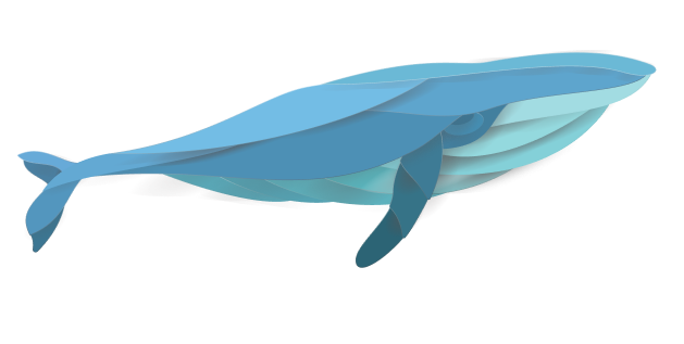 Whale